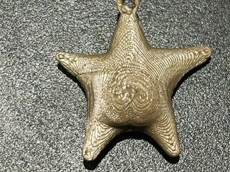 estrella de mar culona argentina llaverito