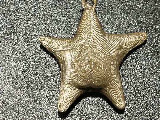 estrella de mar culona argentina llaverito