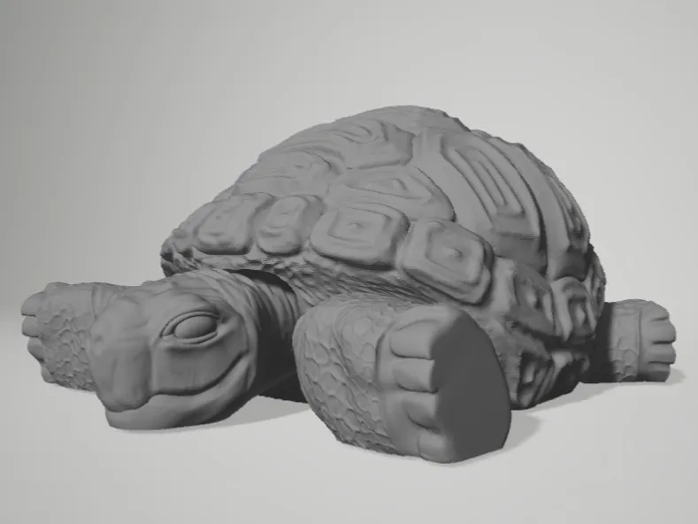 Articulated Radiata Tortoise Model