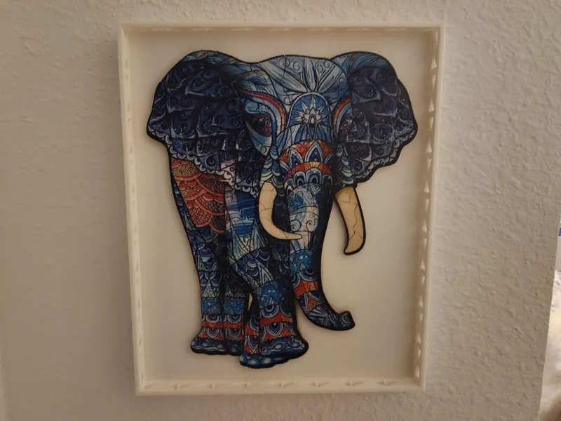 Picture Frame/ Catch All Tray