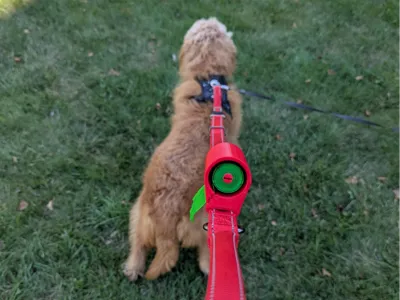 Leash-Mounted Poop Bag Dispenser
