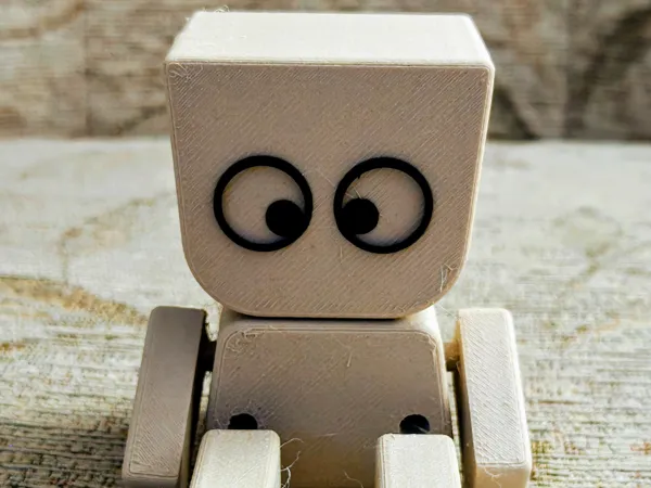https://makerworld.bblmw.com/makerworld/model/DSM00000001755482/design/2025-09-01_7a05187ca32788.jpg