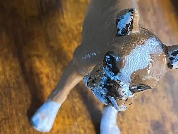 A Boxer Dog 4 inches in height