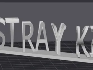 Stray kids
