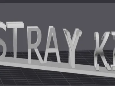 Stray kids