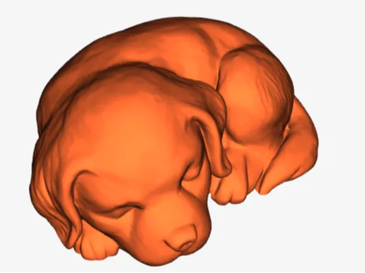 cute sleeping dog