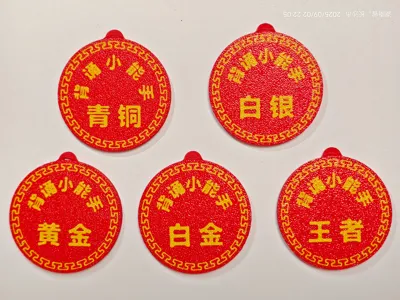 Primary School Student Learning Badges