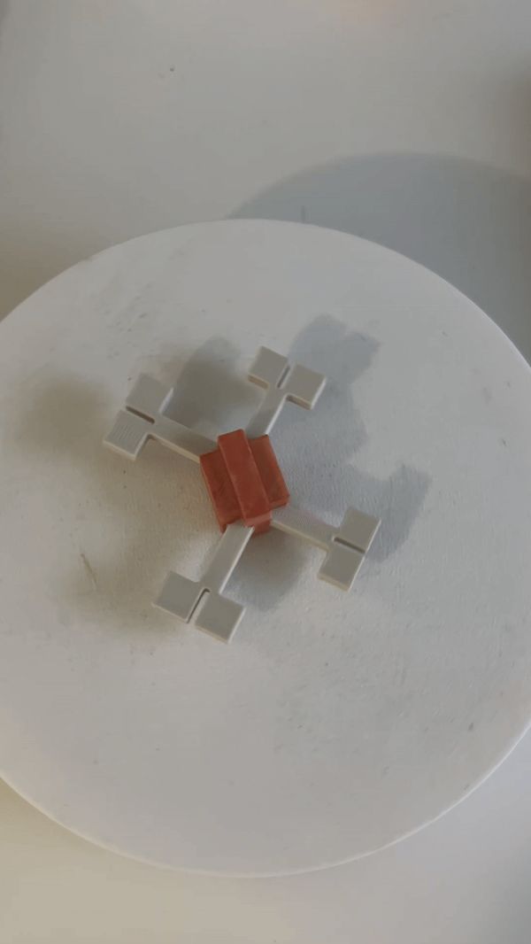 https://makerworld.bblmw.com/makerworld/model/DSM00000001758609/design/2025-09-02_8cb18302613ec.gif