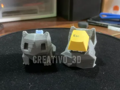 Pokemon Fidget