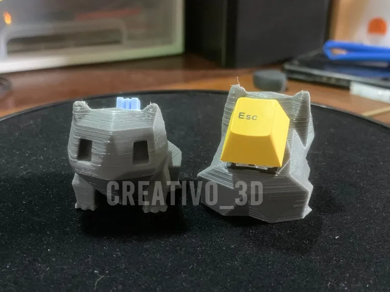 Pokemon Fidget