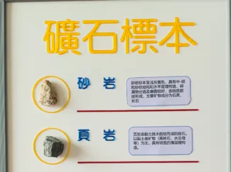 标本展示