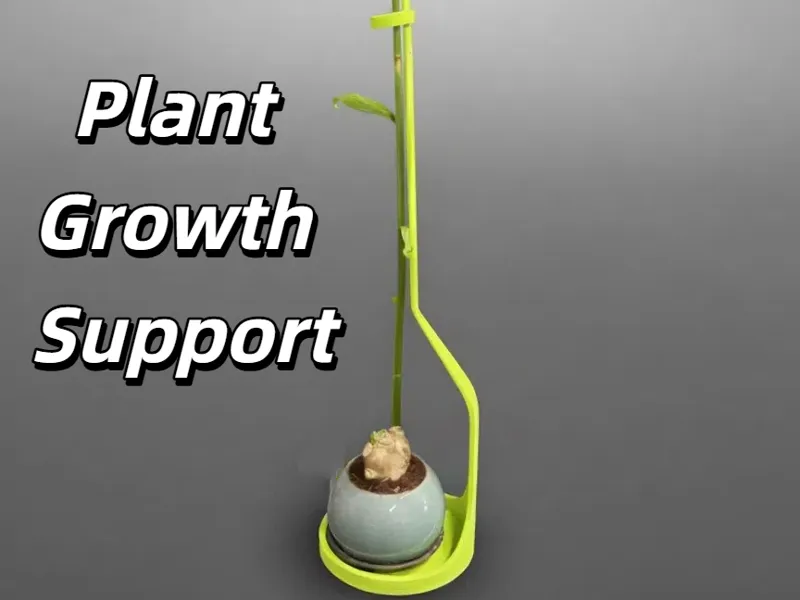 植物生长支架，植物垂直生长辅助器