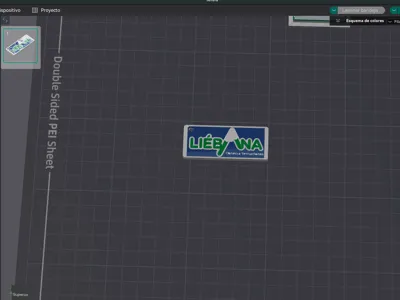 Lievaña Keychain