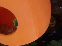 Crested Gecko Hanging Hide