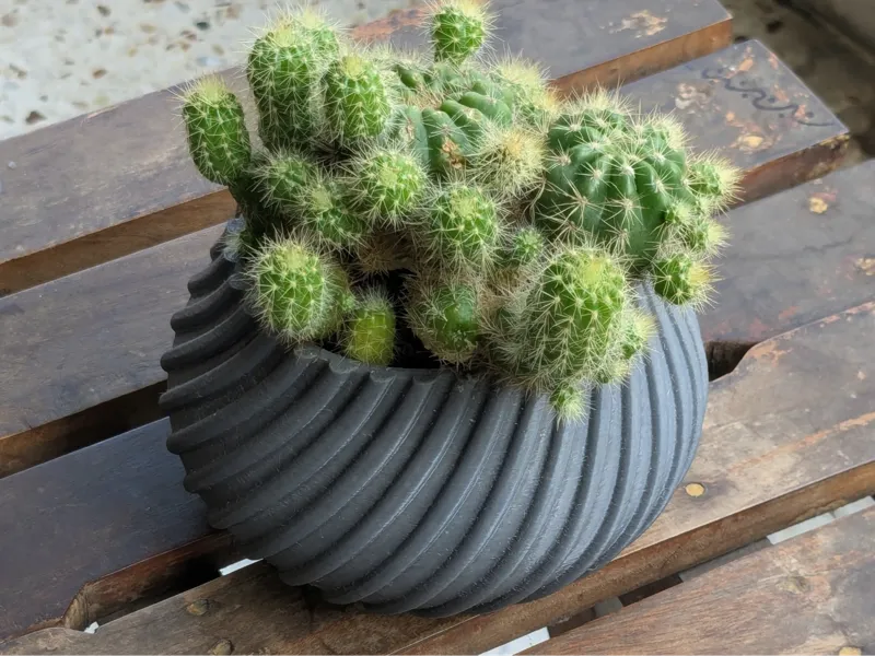 Spiral Cactus Pot - 3D Printed Minimalist Design