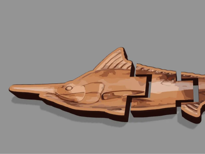 swordfish