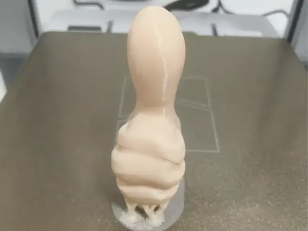 https://makerworld.bblmw.com/makerworld/model/DSM00000001766102/design/2025-09-05_f5cbe97caeebc.webp