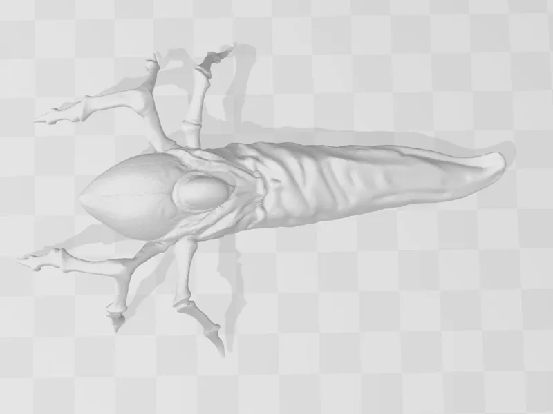 ALIEN TIQUE DE ALIEN EARTH