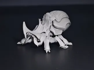 犀牛甲虫
