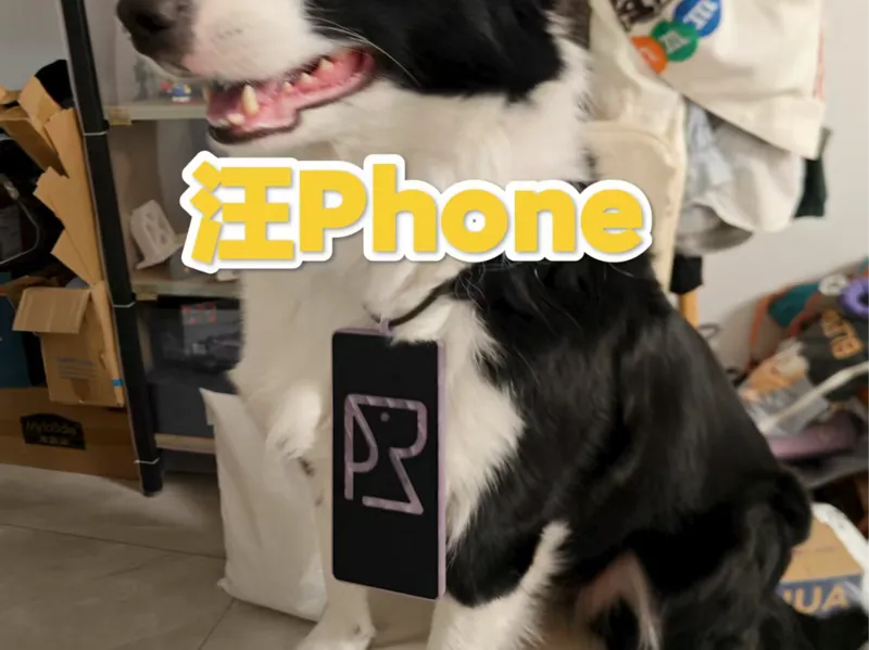 汪Phone 宠物狗牌 挂饰 可定制姓名、联系电话