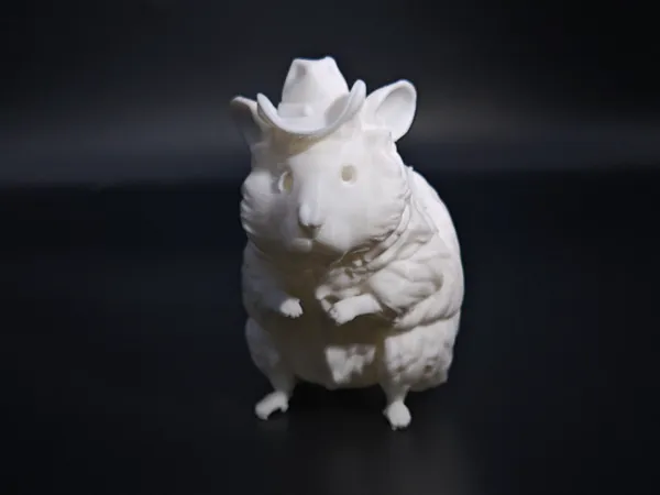 https://makerworld.bblmw.com/makerworld/model/DSM00000001768528/design/2025-09-06_79703b12a81b.jpg