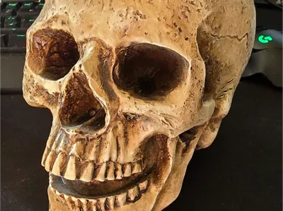 Skull Decoration