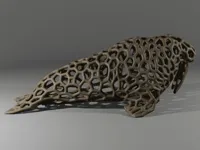 Morse style voronoï — photo 1