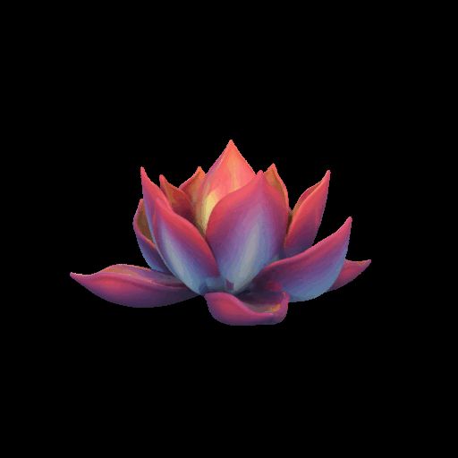 莲花