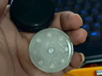 震叮(仿大乾)