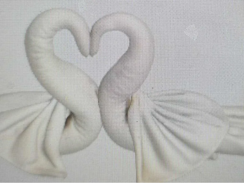 swan towel animal