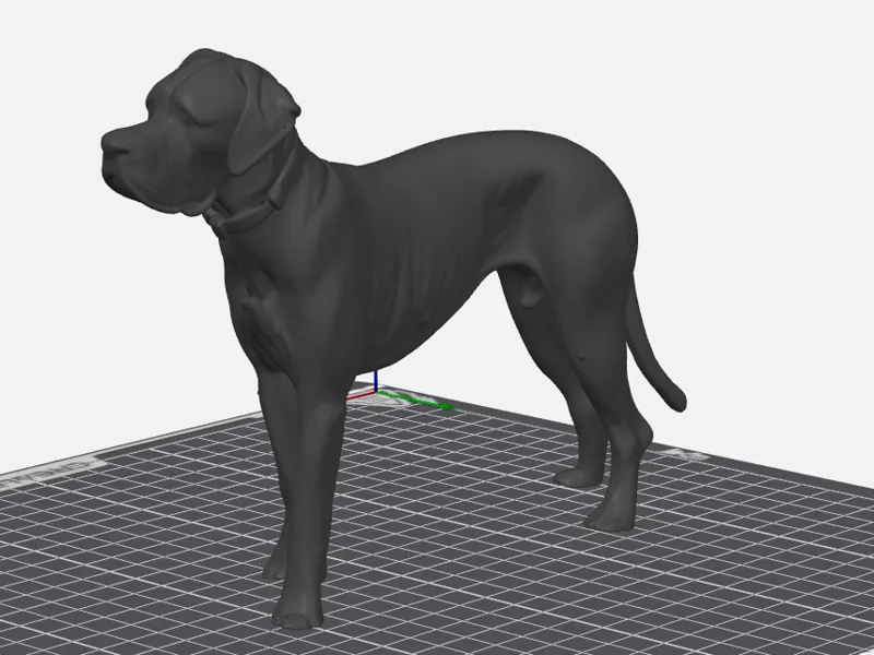 great Dane