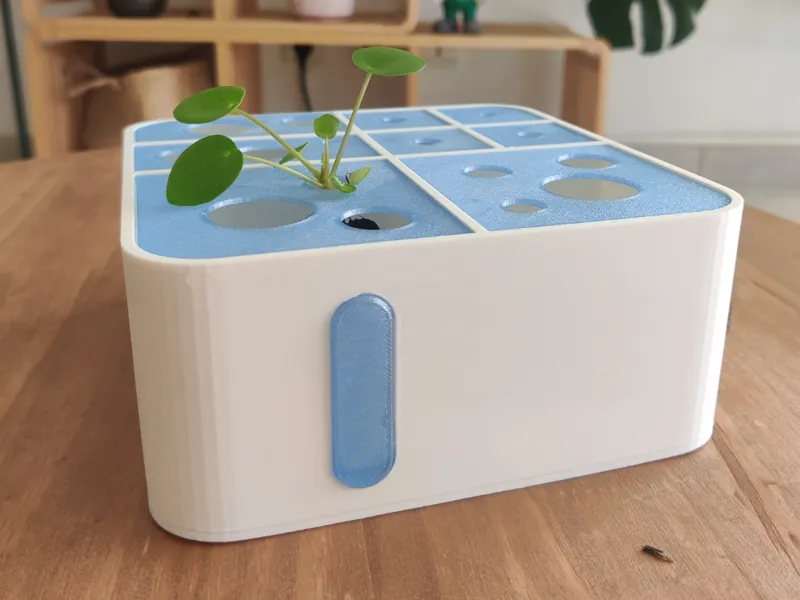 kit to grow cuttings