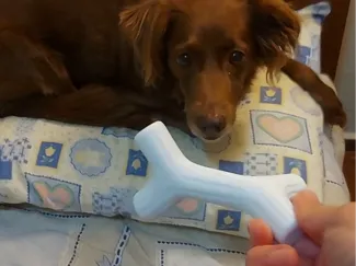 Dog Bone Stick