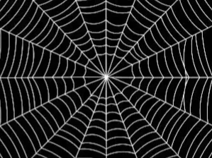 spider web coaster