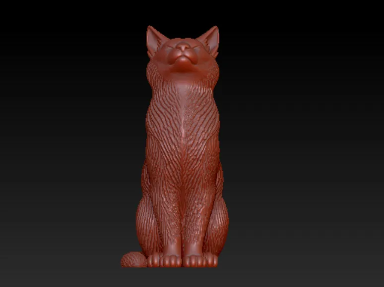 cat