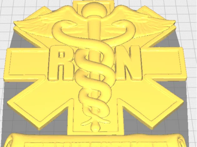 nurse plauqe
