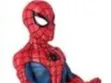 support spider man
