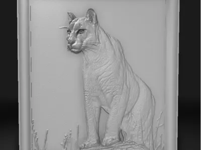 CCT Cougar nxaʔamxčín