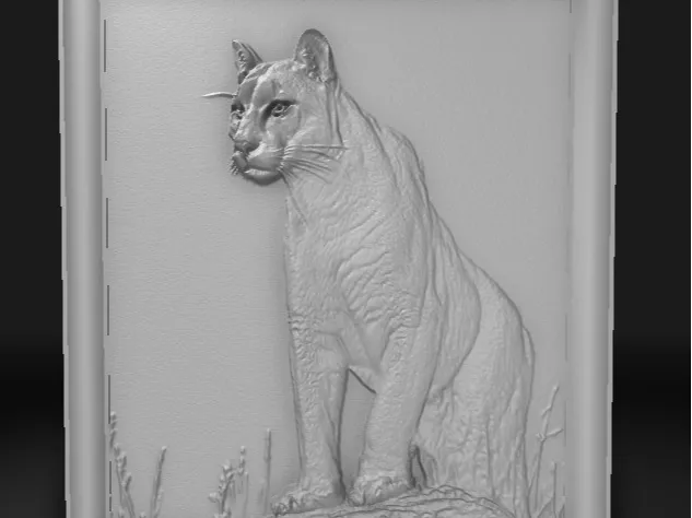 CCT Cougar nxaʔamxčín