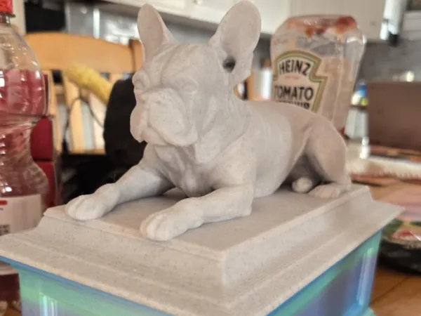 https://makerworld.bblmw.com/makerworld/model/DSM00000001783500/design/2025-09-10_a8b5db3442974.jpeg