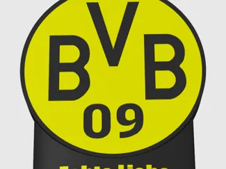 BVB Lampe Echte Liebe