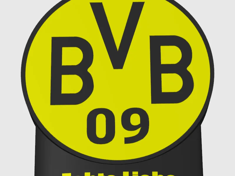 BVB Lampe Echte Liebe