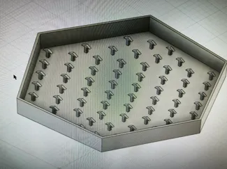 Hexagon mit z.b Deko Moos befüllbar