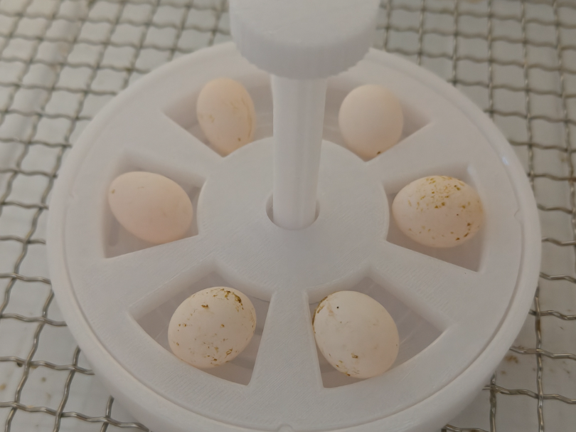 翻蛋器孵化用