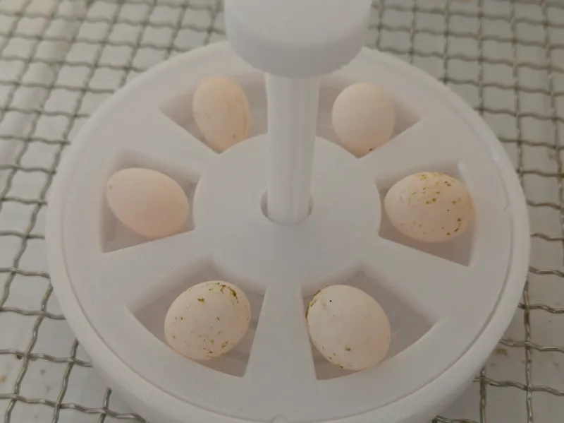翻蛋器孵化用