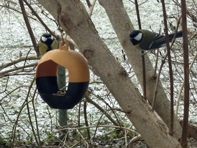 Bird feeder (apple)