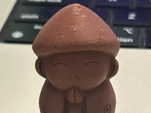 https://makerworld.bblmw.com/makerworld/model/DSM00000001788254/design/2025-09-12_8d905c055324e.jpg