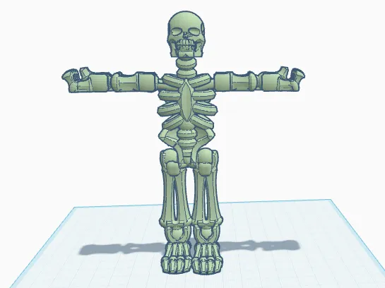 T Pose skeleton