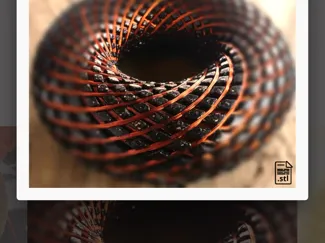 My Torus Rodin Vortex