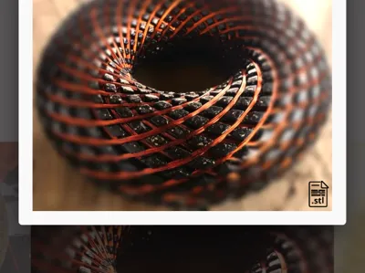 My Torus Rodin Vortex